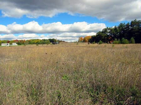 Cadillac Drive-In Theatre - The Lot - Photo From Water Winter Wonderland (newer photo)